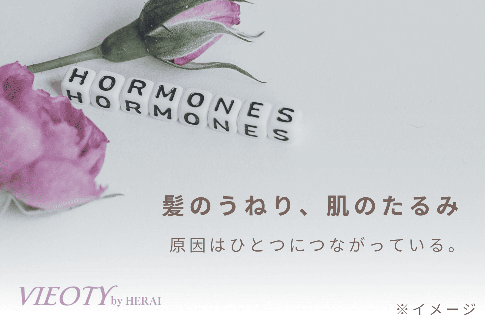 「髪のうねり、肌のたるみ。原因は、ひとつにつながっている。」のテキストと共に、女性ホルモンが髪と肌の両方に影響を与えることを示す画像。