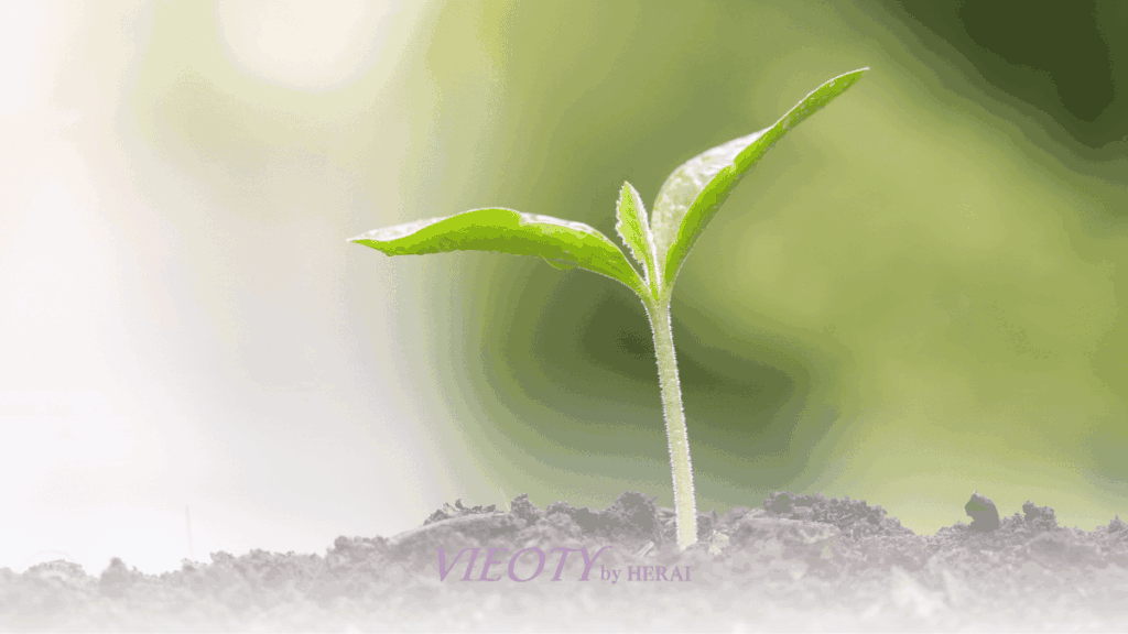 オーガニック植物のイメージ