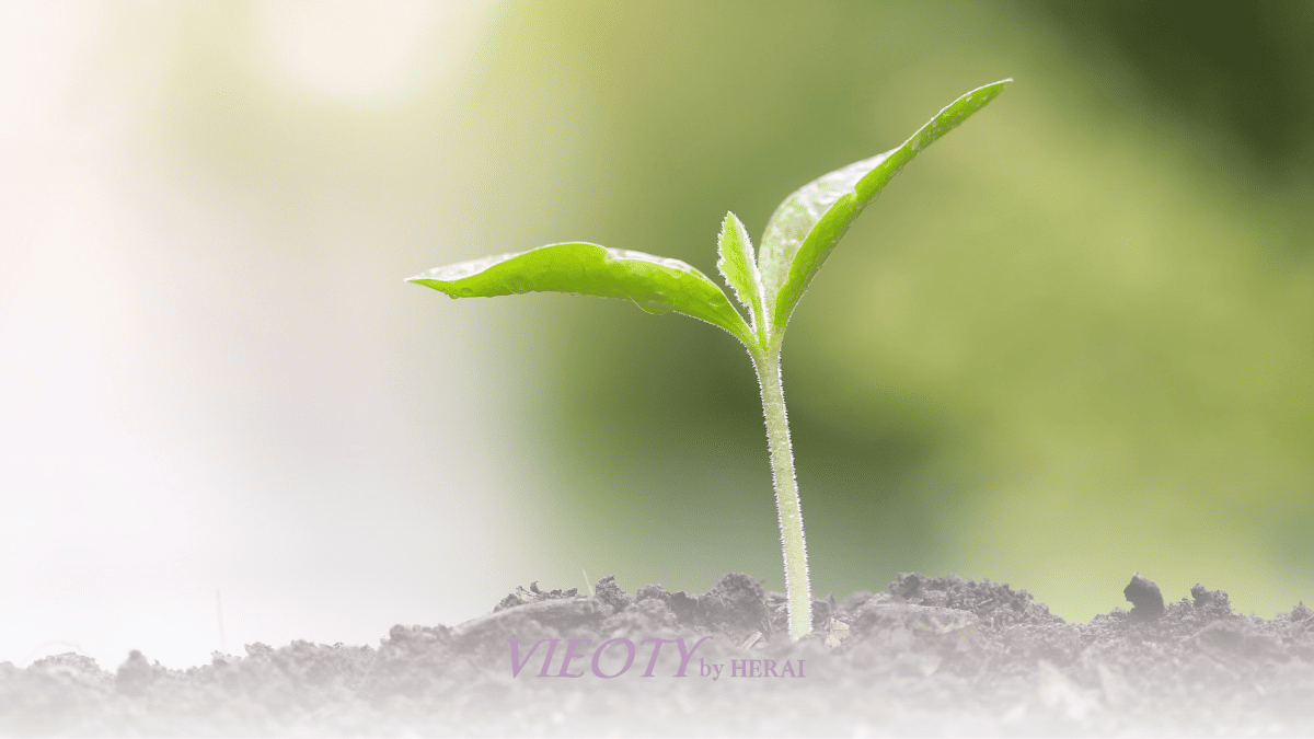 オーガニック植物のイメージ