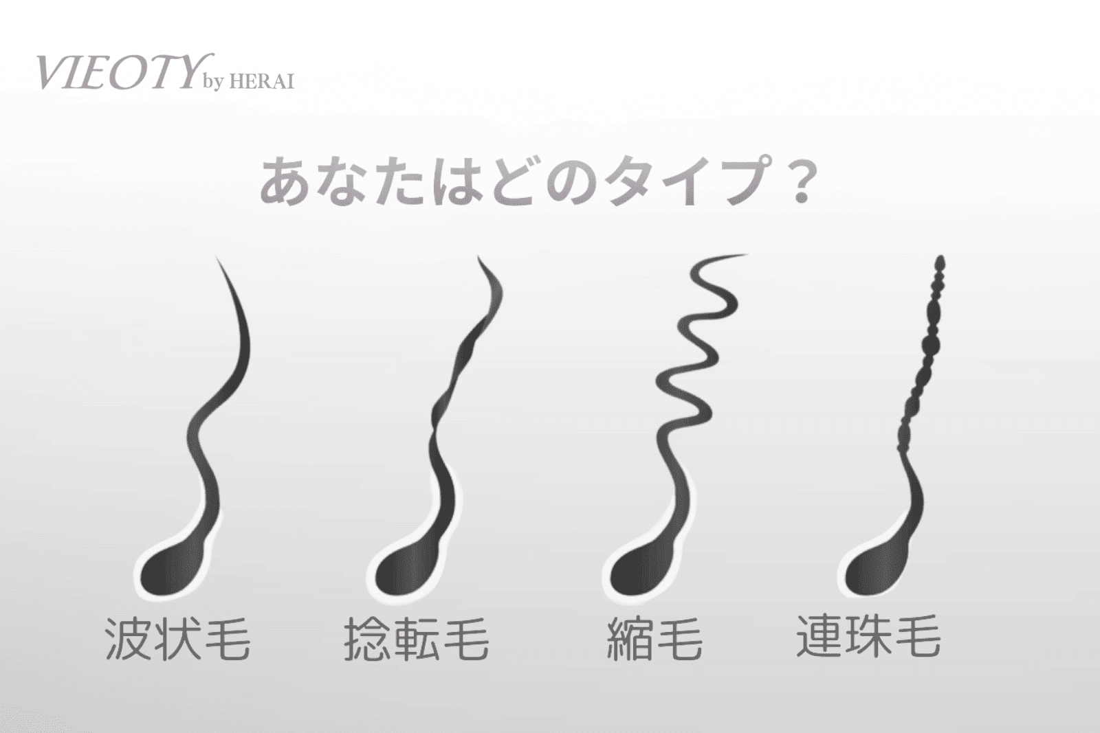 くせ毛の4タイプ「波状毛」「捻転毛」「縮毛」「連珠毛」の特徴を示すイラスト図解。50代女性が自分の髪質をセルフ診断するために使用。エイジング毛との向き合い方も解説。