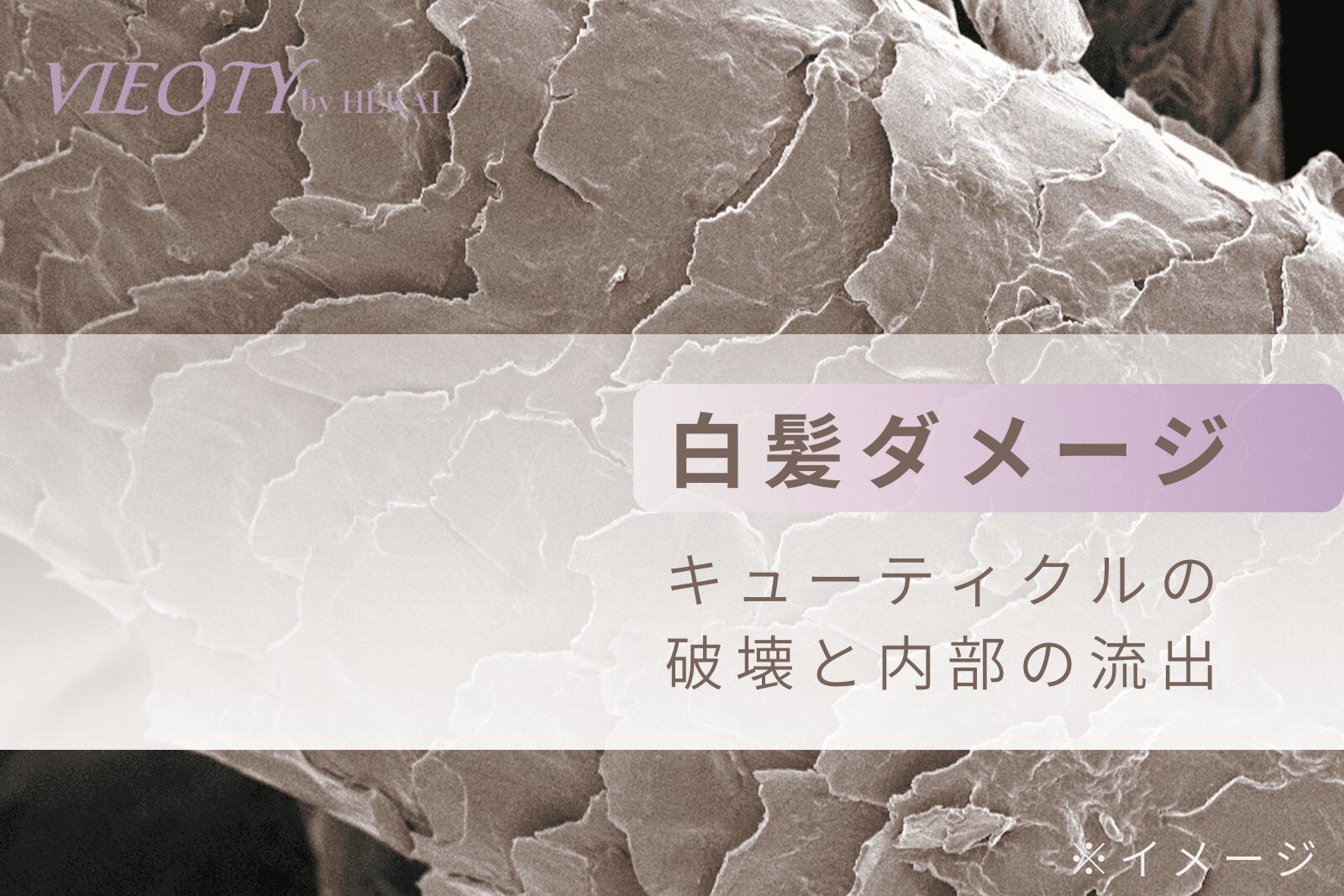 白髪染めで髪が傷む化学反応のメカニズムを示す図解。アルカリ剤がキューティクルを開き、酸化剤が髪内部を破壊する様子を解説。