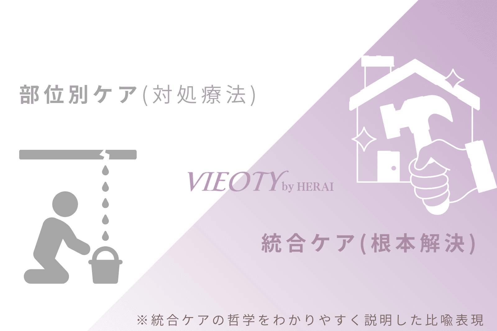 部位別ケア（対処療法）の限界と統合ケア（根本解決）の重要性を、家の雨漏り修理に例えた図解。「全身のバaria機能サポート」というVIEOTYの哲学を解説。