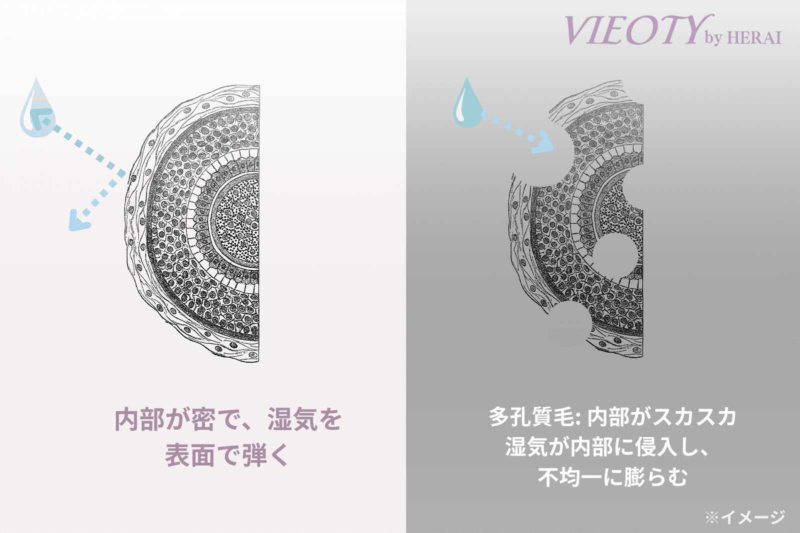 「湿気は、髪の“隙間”を狙ってくる。」のテキストと共に、多孔質化した髪が湿気を吸い込み広がるメカニズムを図解。水分管理ヘアケアの重要性を解説。