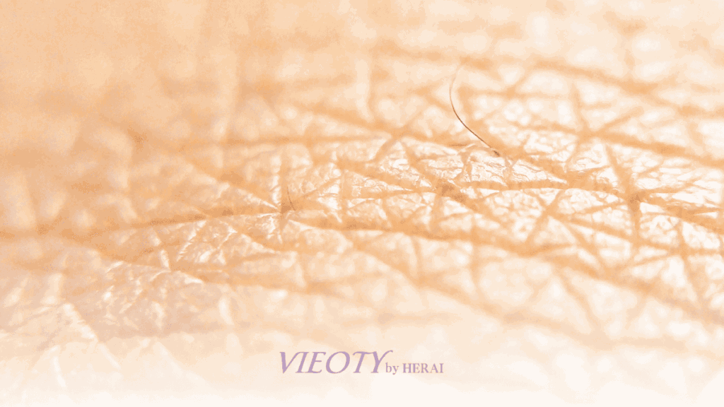 頭皮、顔、体の皮膚の画像イメージ