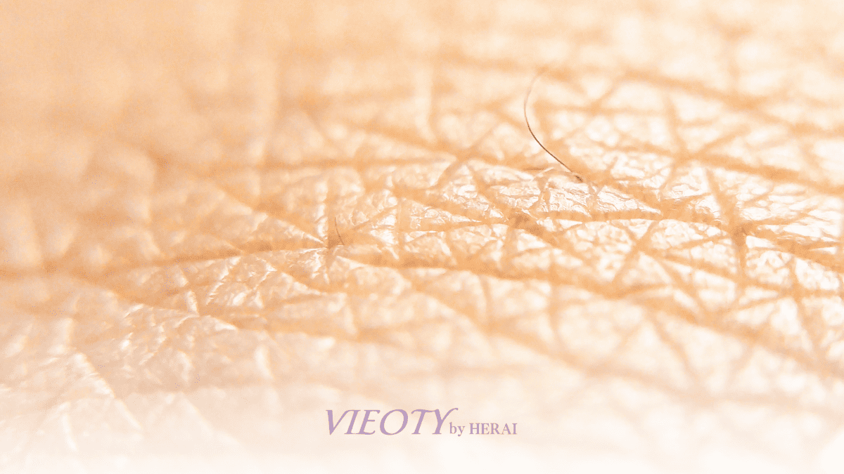 頭皮、顔、体の皮膚の画像イメージ