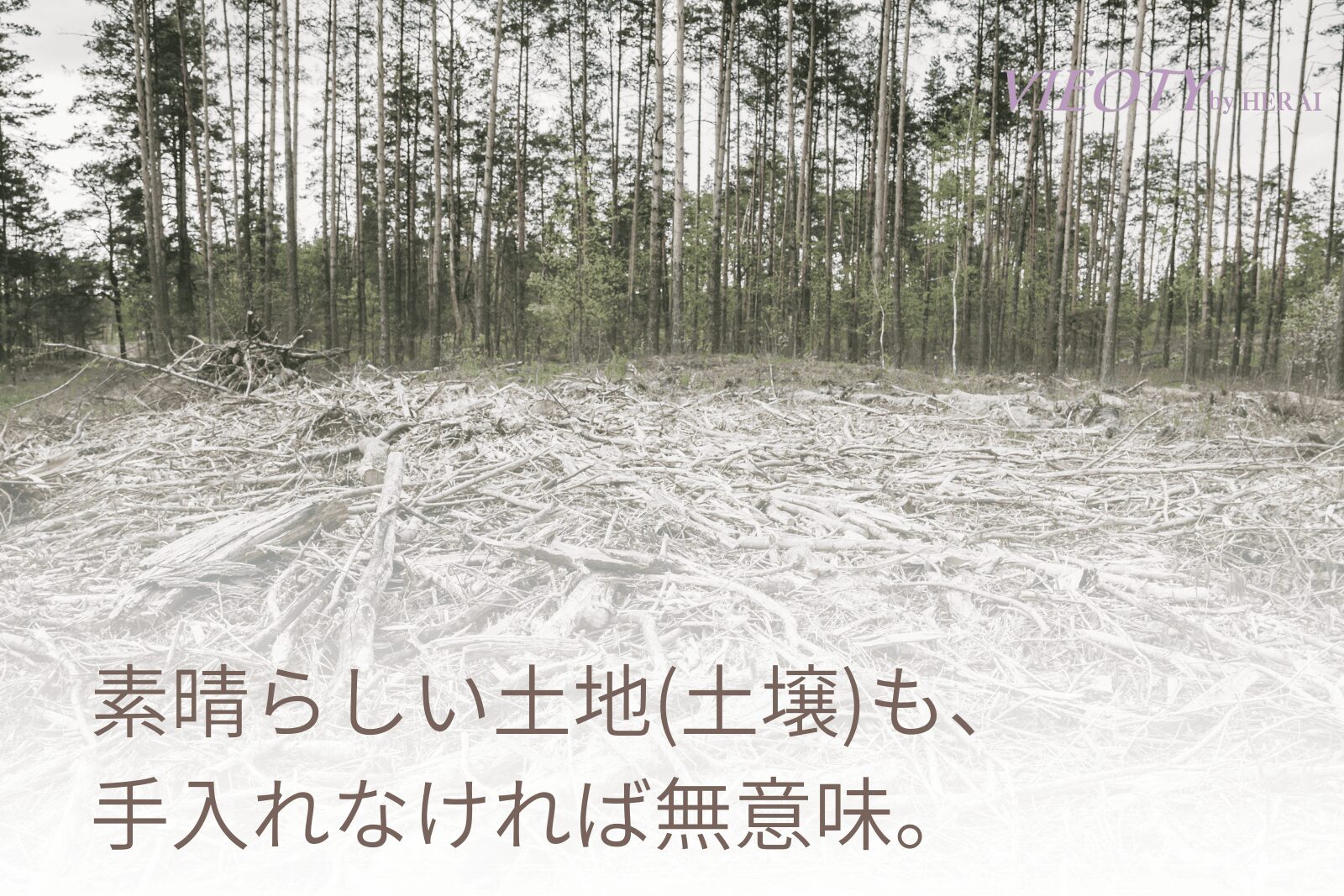 素晴らしい庭園も、柱が崩れていては意味がない」のテキストと共に、庭園の中の崩れた神殿の画像。オーガニックだけでは解決できない50代の髪と肌の構造的課題を象徴。