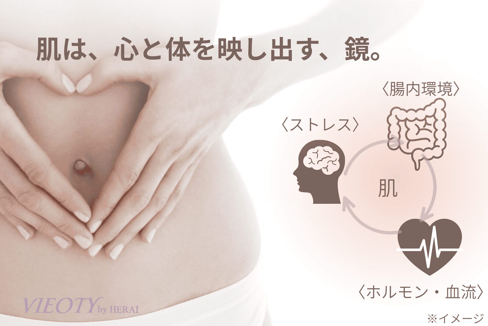 「肌は、心と身体を映し出す、鏡」のテキストと共に、肌と脳・心臓・腸が繋がっていることを示す図解。50代敏感肌の原因が全身的レジリエンスの低下にあることを解説。