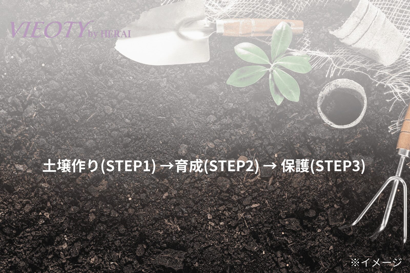 VIEOTYブルームコースの3STEPの科学的必然性を「ガーデニング」に例えた図解。STEP1「土壌作り」、STEP2「育成」、STEP3「保護」という論理的な連携を示す。