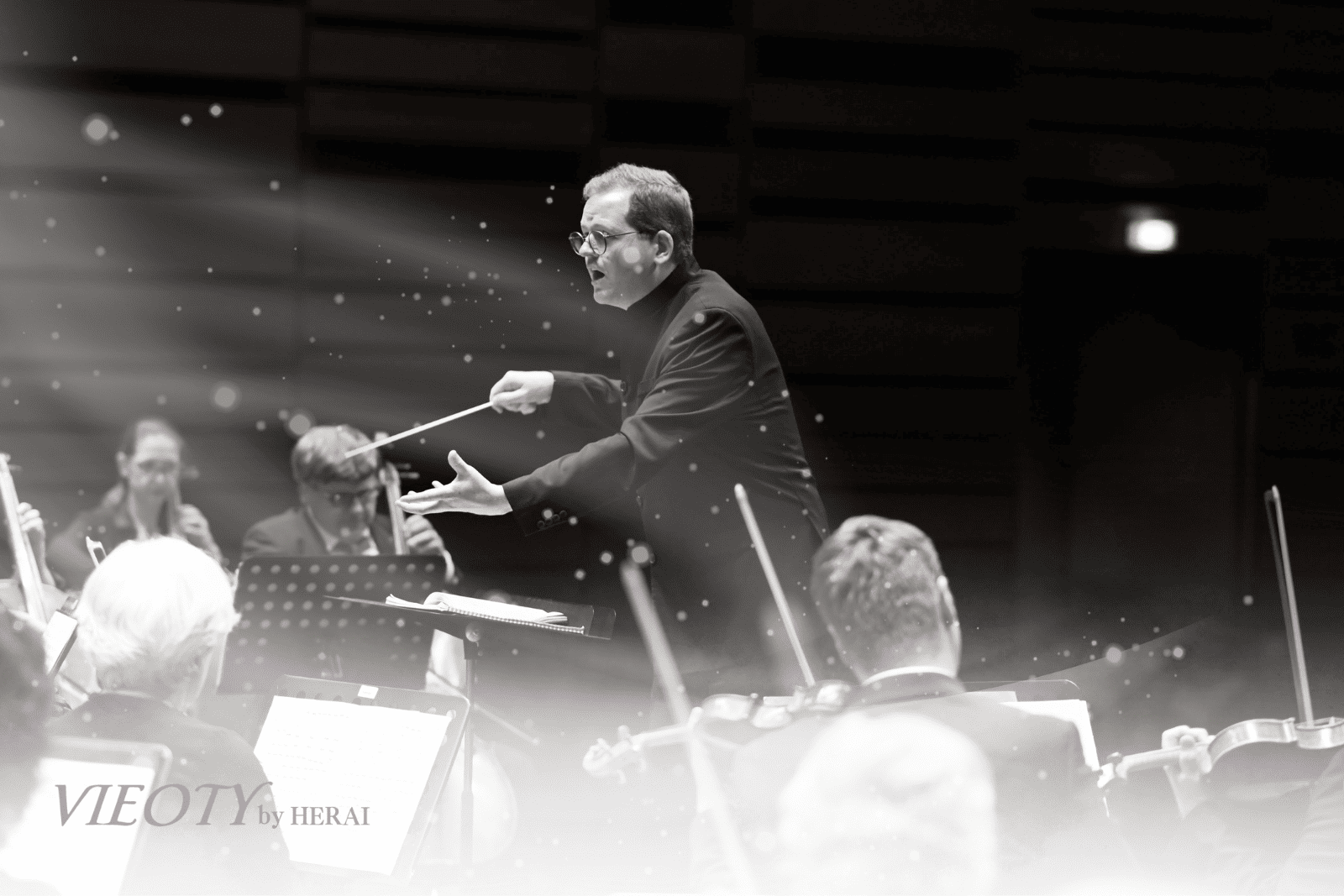 オーケストラの指揮者が異なる楽器を調和させるイラスト。「洗浄」と「保湿」、「髪」と「肌」といった相反する要素を、VIEOTYが高度な処方技術で調和させる科学を象徴。