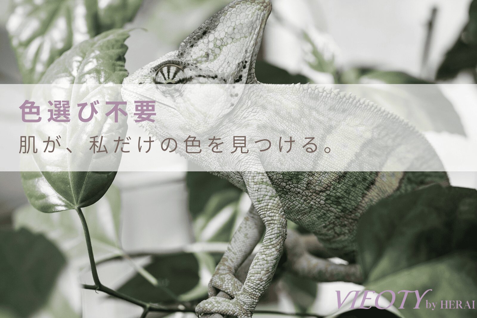VIEOTYファンデーションが色選び不要である理由を、周りの色に同化するカメレオンで象徴した画像。肌のpHに反応して、あなただけの色に自然に馴染む技術を解説。