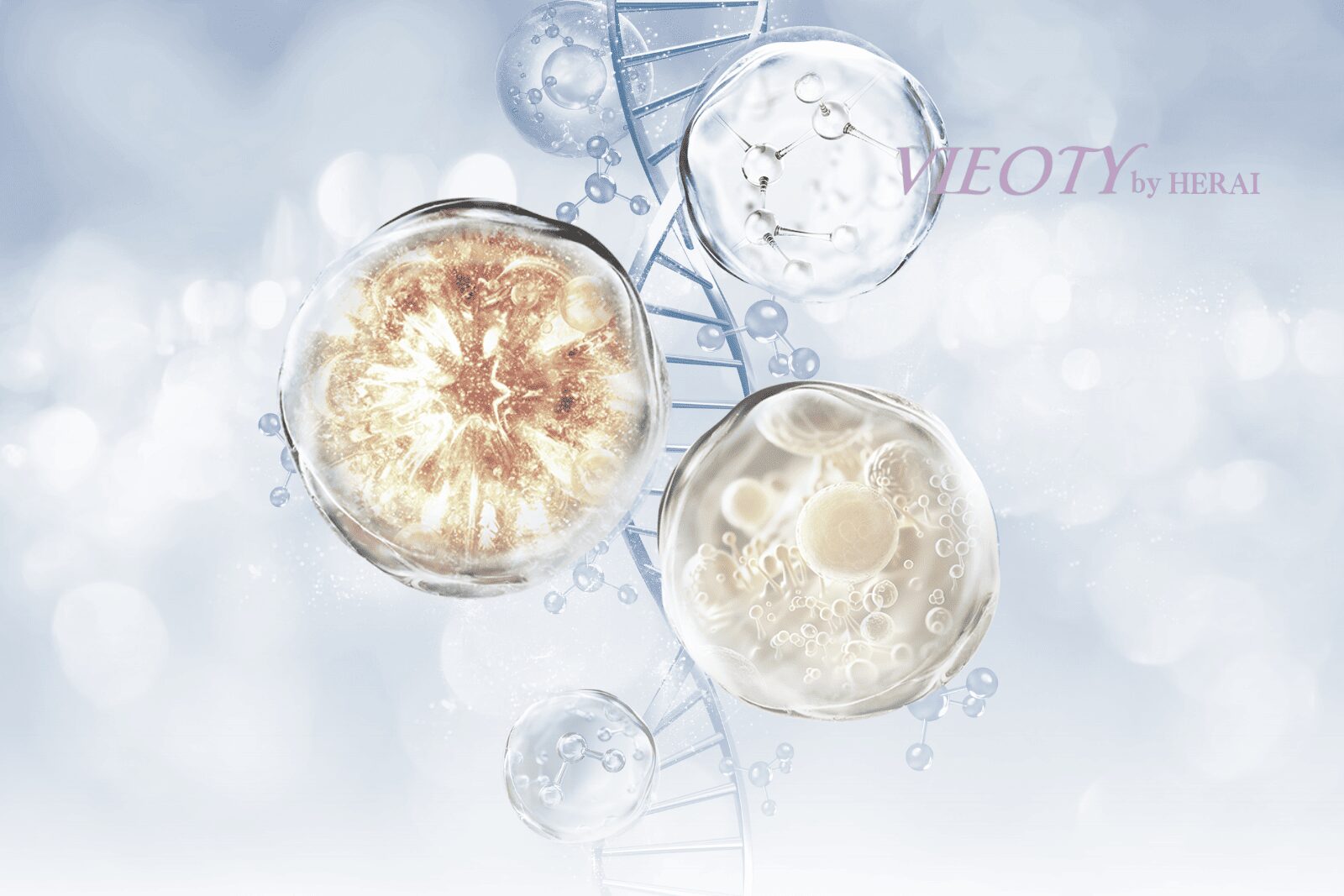 VIEOTY製品の滑らかなテクスチャーの背景に、植物の線画と成分の化学構造式がデザインされている。