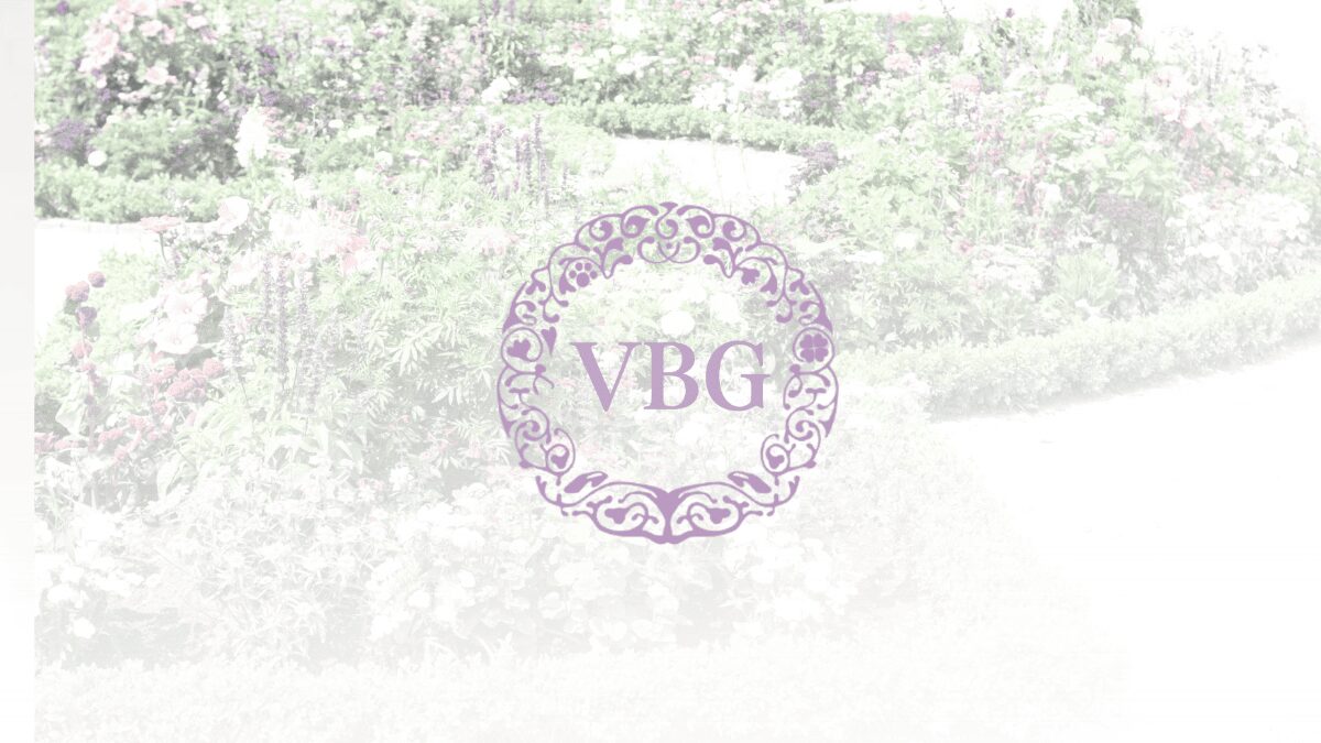 VIEOTY顧客参加型コミュニティVBGでの対話と共創を象徴するイメージ。上質なノートに書き留められたアイデアと、一杯のお茶、製品の試作品が置かれている。