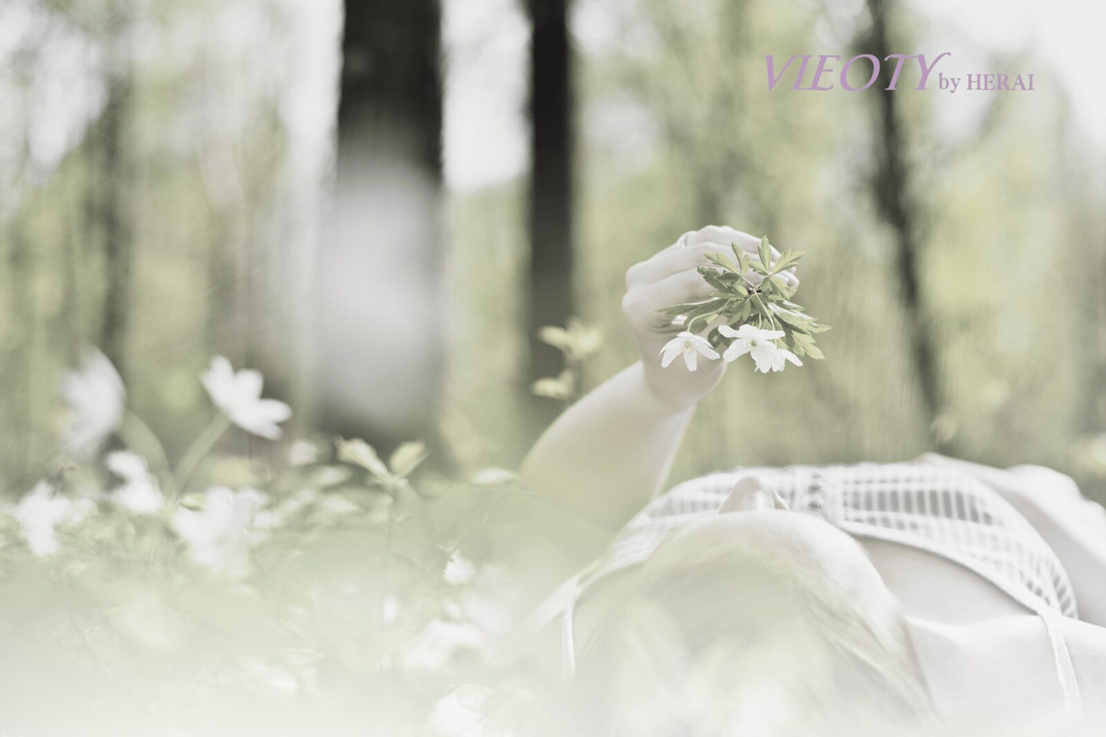 穏やかに瞑想する女性のシルエット。背景には美しい夕焼けが広がっている。