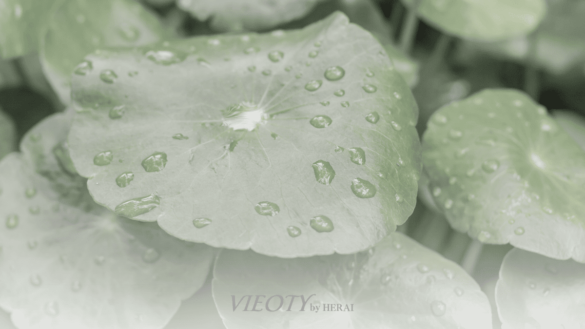 一枚の美しいツボクサの葉。その葉から落ちた一滴のしずくが、下に広がる肌のモデルの表面で、優しく輝く保護膜の波紋を作っている。CICAの守護成分としての役割を象徴。