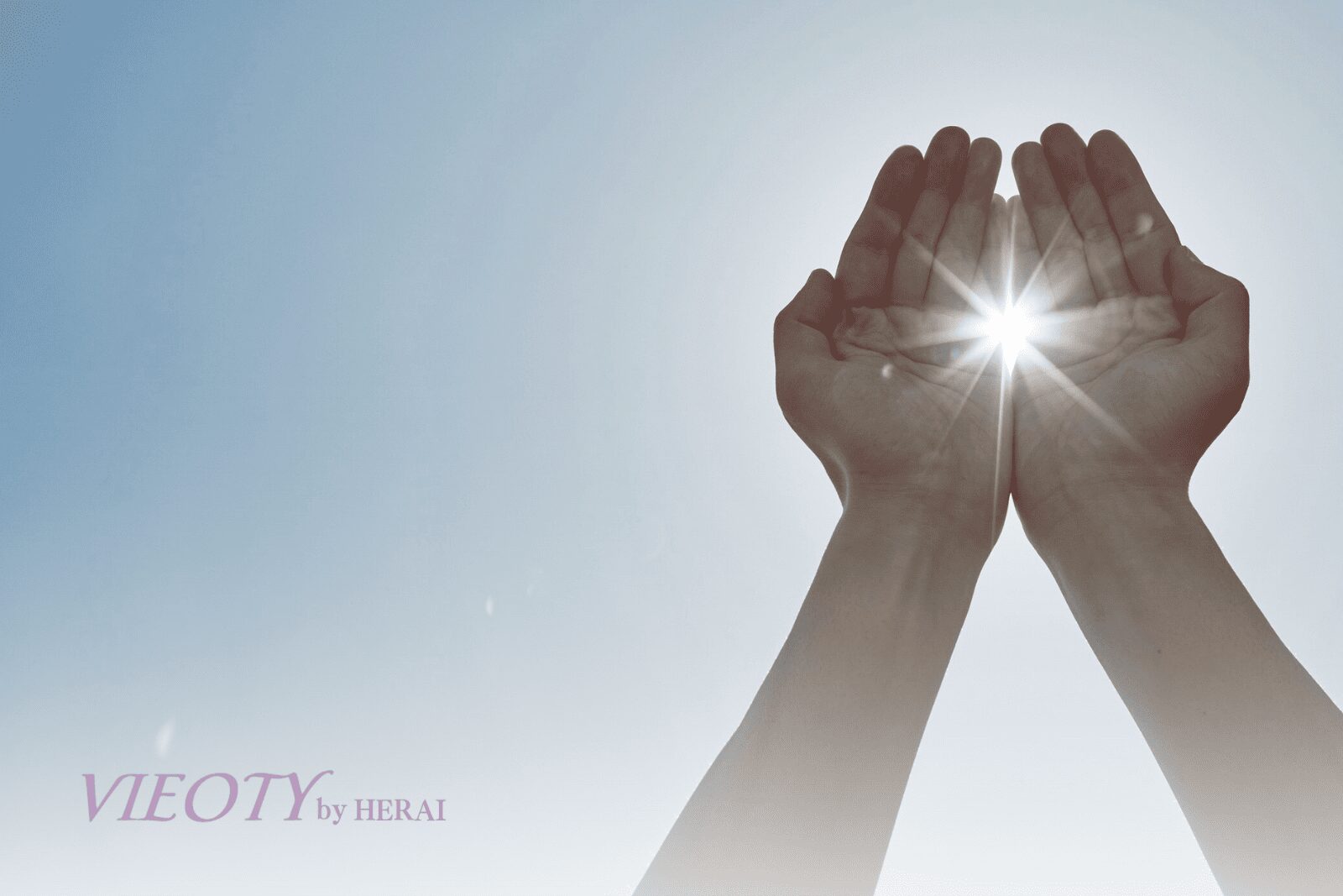 VIEOTY創設開発者HERAI