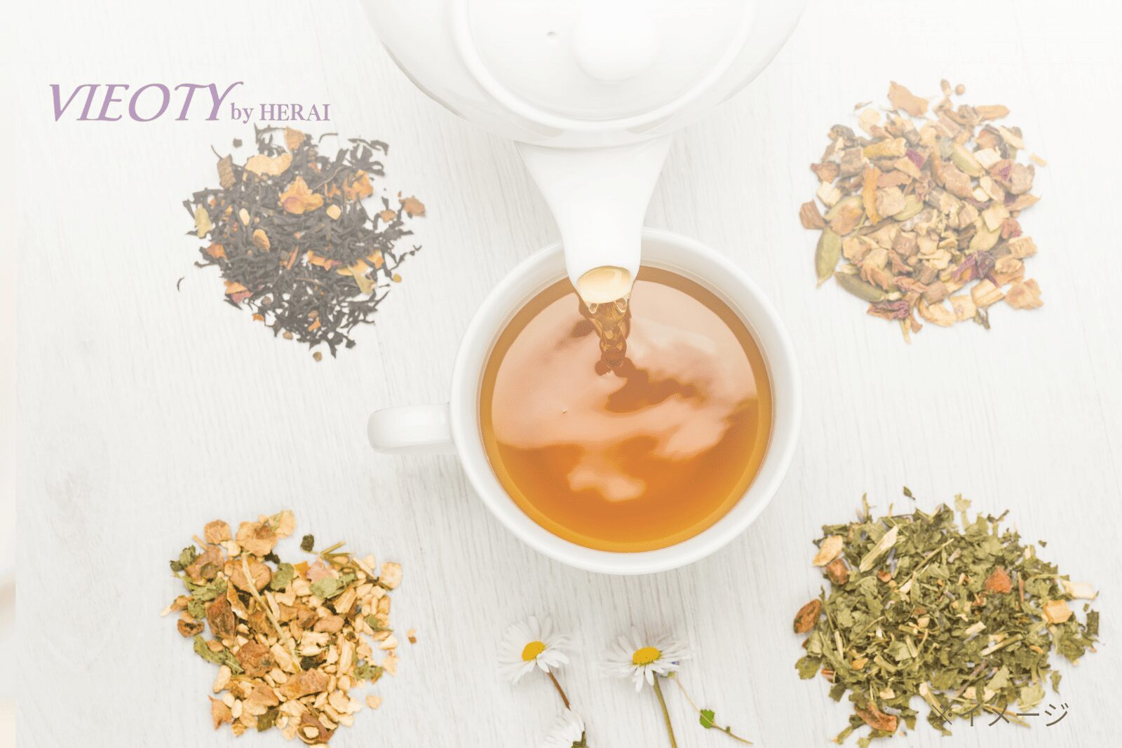 VIEOTYが提唱するホリスティックなライフスタイルを象徴する一枚。