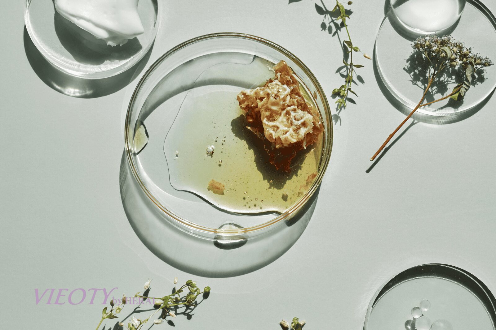 VIEOTYのブランド哲学「自然と科学の融合」を象徴する画像。静かな水面に浮かぶ一枚の葉の上に、輝く科学的な分子構造が描かれている。