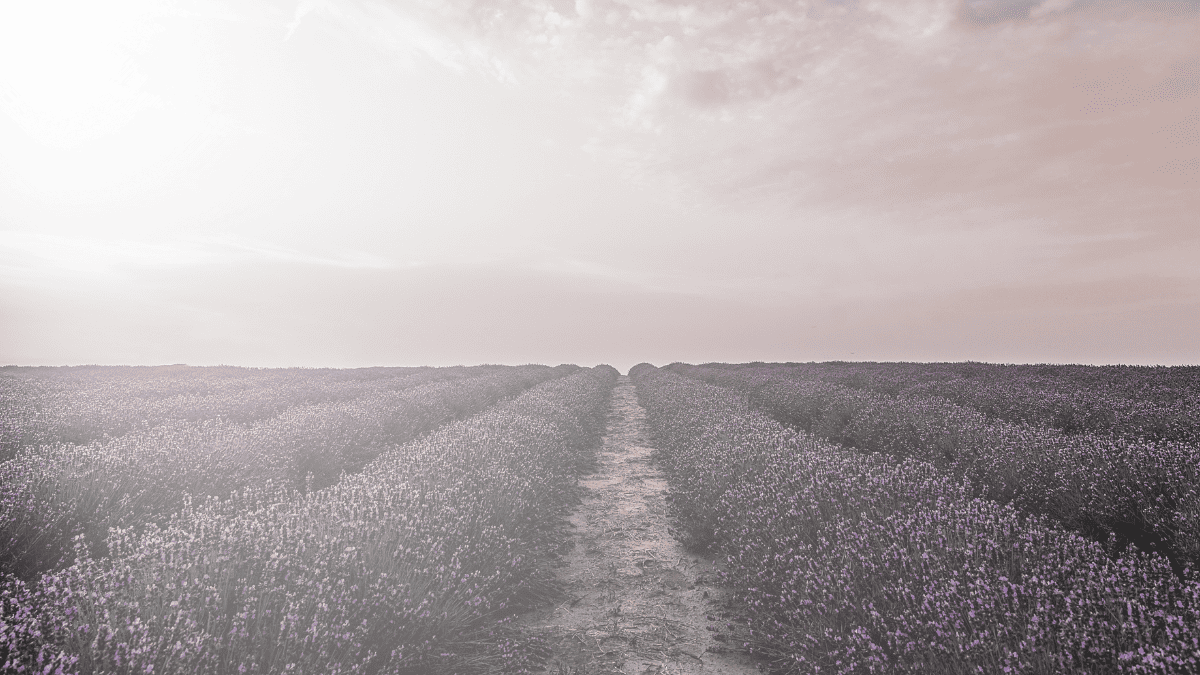 VIEOTYの哲学と開発風景を象徴する横長のアイキャッチ画像