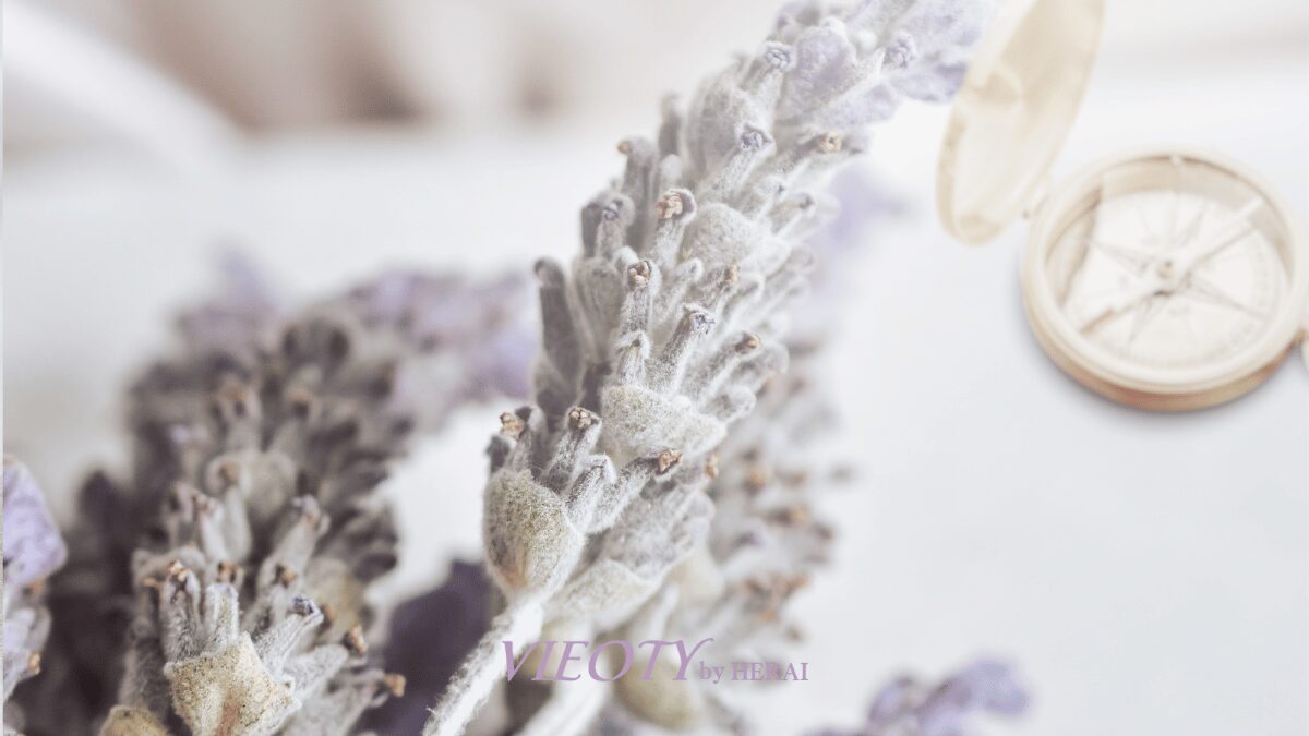 VIEOTY by HERAIのサイトマップを象徴する、羅針盤とラベンダー