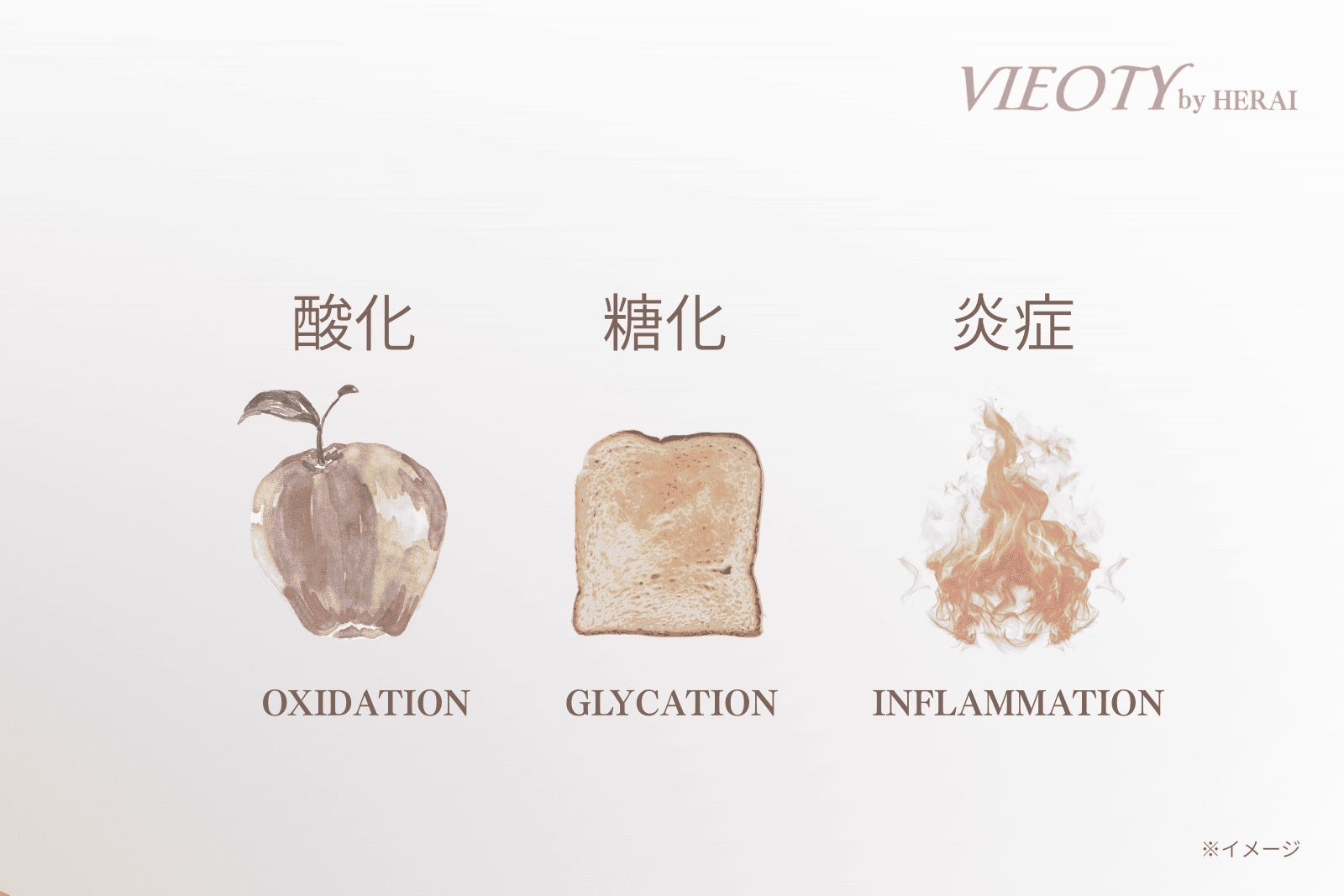 「酸化」「糖化」「微弱炎症」という3つの肌老化原因のインフォグラフィック。