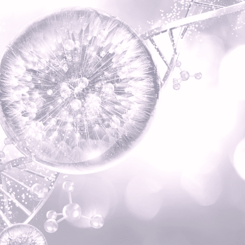 5つのエイジングケア成分