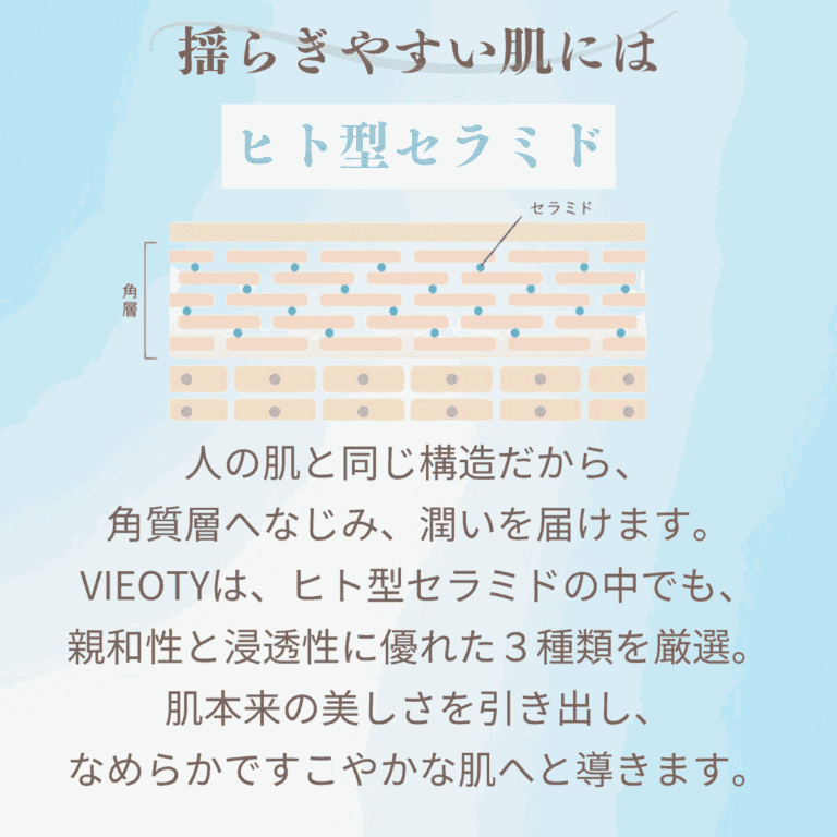 ヒト型セラミドの働きを示す図解。