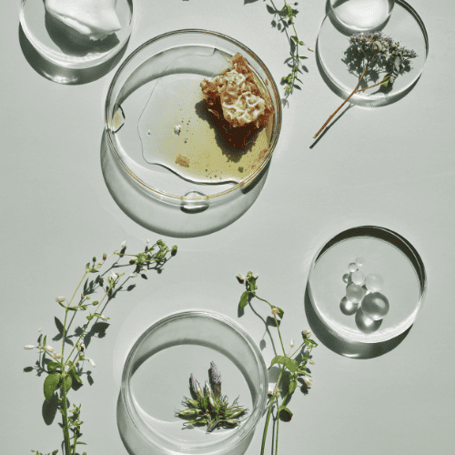 20種のオーガニック植物原料