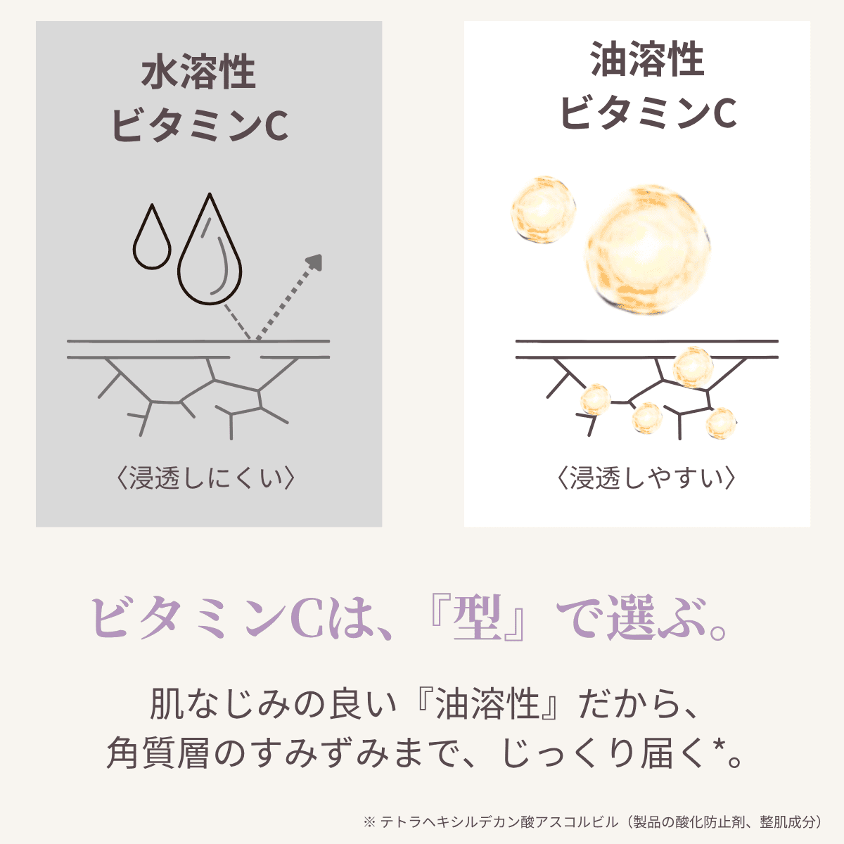 油溶性ビタミンC誘導体が、肌の角質層深くまで浸透する様子を示す肌断面図のイラスト。