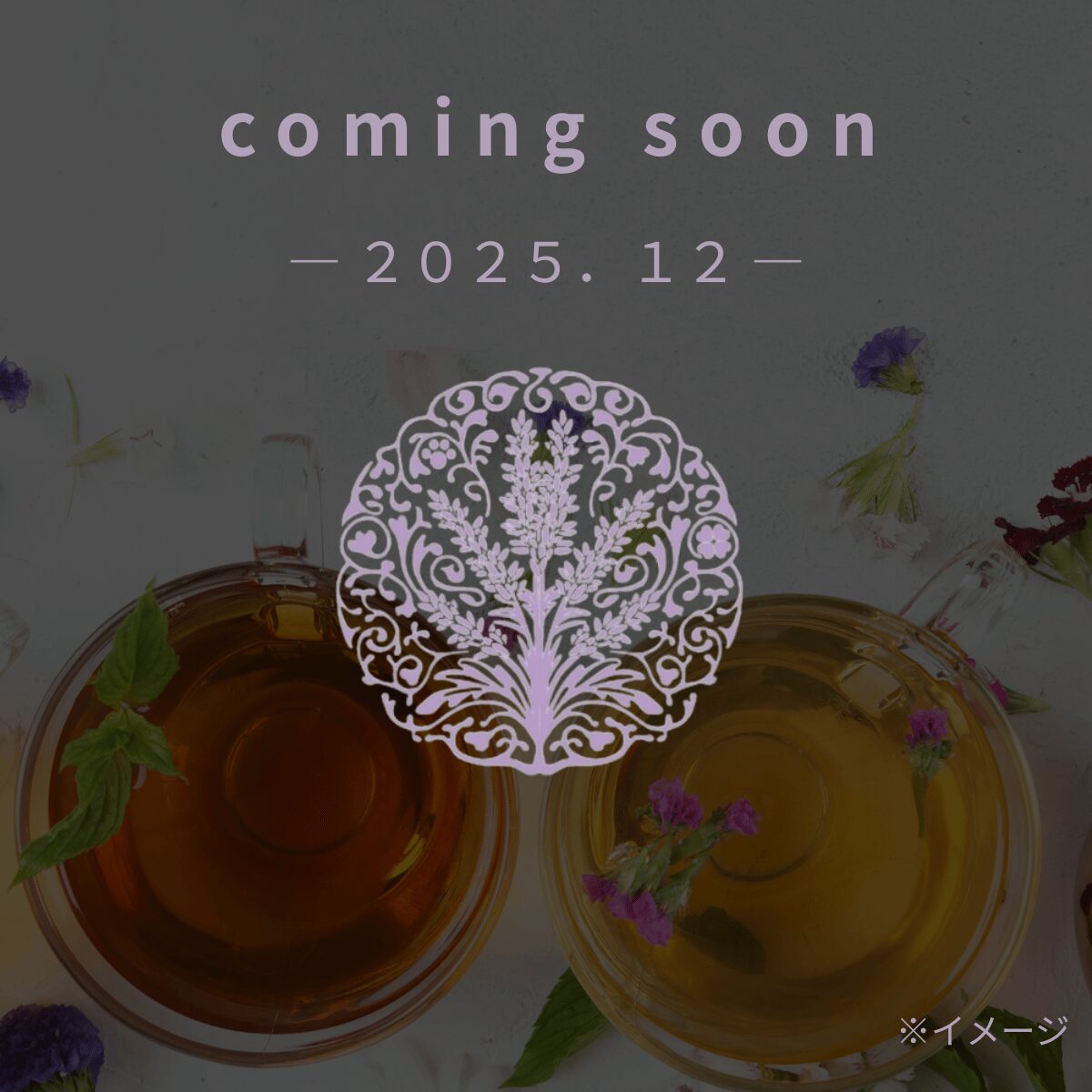 VIEOTYのインナーケア エリクティーのメイン・製品画像