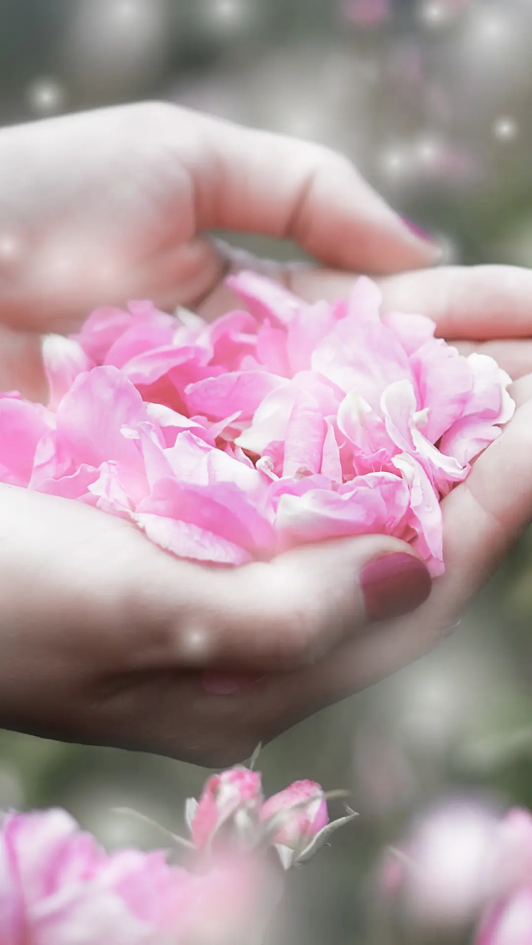 統合美容学という、最後の答え