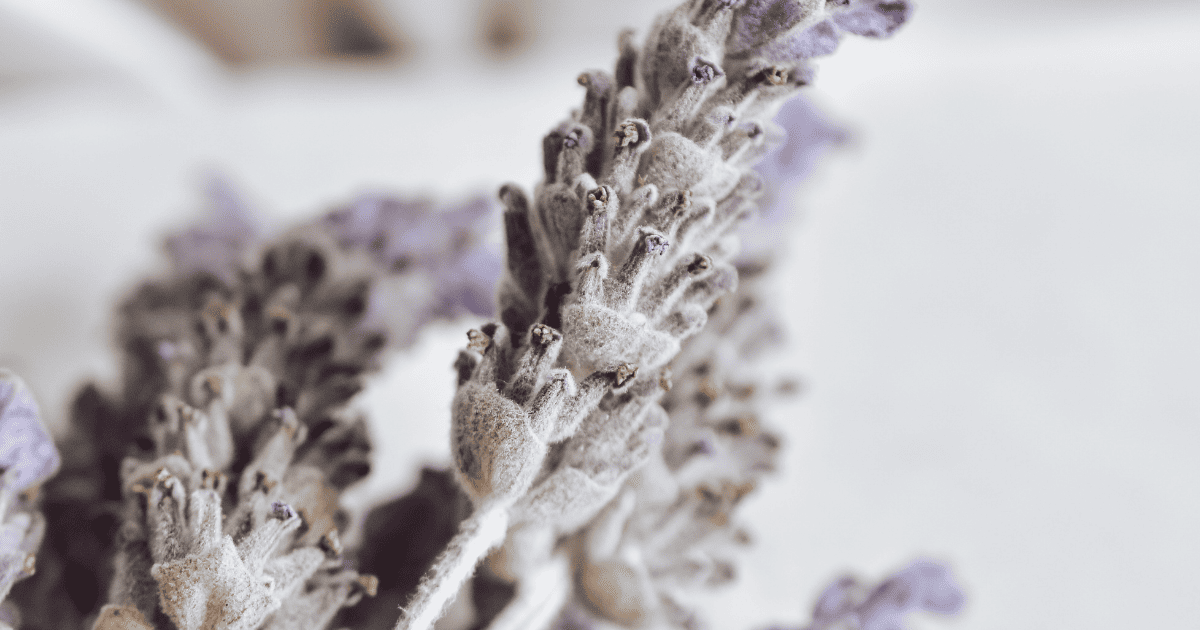 VIEOTY 返金・返品ポリシー(60日間返金保証)