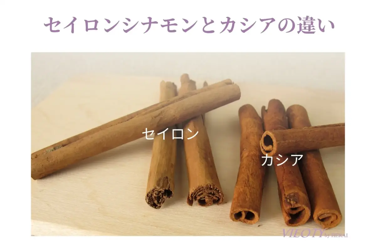 左：薄い層が重なるセイロンシナモン / 右：厚く頑丈な樹皮を持つカシアシナモン（エリクティー採用）の断面比較