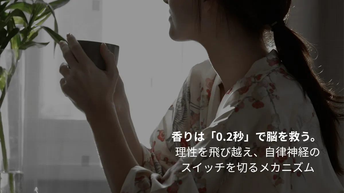 嗅覚から大脳辺縁系へ0.2秒で香りが到達し、副交感神経を優位にして脳疲労をリセットするメカニズムの図解